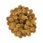 Savory Сухой корм для собак средних пород со свежим ягненком и индейкой 0