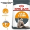 АКЦІЯ Royal Canin Hair&Skin Care сухий корм для кішок з проблемною вовною з куркою, 4 кг + наповнювач Catsan 5л 0