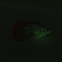 Рибка силіконова гуппі 7.5 см CL0020 0