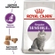 АКЦИЯ Royal Canin Sensible сухой корм для кошек с чувствительным пищеварением 8+2 кг 0