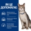 Hills PD Feline K/D сухой корм при хронических заболеваниях почек и сердца у кошек 3