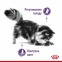 АКЦІЯ Royal Canin Appetite Control набір корму для стерилізованих котів 2 кг + 4 паучі 2