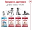 АКЦІЯ Royal Canin Medium Adult сухий корм для дорослих собак середніх порід старше 12 місяців 4 кг + миска в подорож 4