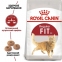 АКЦИЯ Royal Canin Fit сухой корм для домашних и уличных котов 8+2 кг 0