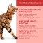 Optimeal Вологий корм для котів з індичкою в гарбузовому соусі 85г 1