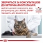 АКЦІЯ Royal Canin Instinctive вологий корм для котів на кожен день 9+3 до 85 г 3