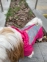 Ялинка світшот для собак дівчаток трикотаж на флісі Фуксія 3