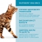 Optimeal Вологий корм для котів із фореллю в кремовому соусі 85г 2