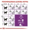 АКЦИЯ Royal Canin Sensible сухой корм для кошек с чувствительным пищеварением 8+2 кг 3