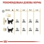 АКЦІЯ Royal Canin Hair Skin Care з проблемною вовною набір корму для котів 2 кг + 4 паучі 6