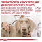 АКЦІЯ Royal Canin Urinary S/O лікувальний корм для собак із захворюваннями сечокам'яної хвороби 11+2 кг 8