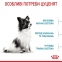 АКЦИЯ Royal Canin X-Small Puppy Набор корма для собак очень миниатюрных пород 2 кг + 4 паучи 2