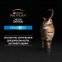 Pro Plan Nutrisavour Housecat Adult консерва для домашних кошек с лососем в соусе, 85 г 2