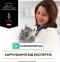 АКЦИЯ Pro Plan Veterinary Diets EN Gastrointestinal влажный корм для ЖКТ для кошек и котят 85 гр 2