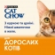 АКЦИЯ Purina Adult С курицей и кабачками в желе влажный корм для кошек 85 г 0