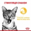 АКЦИЯ Royal Canin Sensory Taste Влажный корм для взрослых кошек 3+1 по 85 г 2