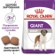 АКЦИЯ Royal Canin Giant Adult Сухой корм для собак - домашняя птица 15 + 3 кг 0