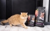 Savory Adult Cat  Сухой корм для кастрированных котов с свежим мясом ягненка и курицей  2