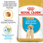 Royal Canin (Роял Канін) Labrador Retriever Puppy сухий корм для цуценят лабрадорів 0
