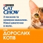 Cat Chow Adult консерва для котів із лососем і зеленою квасолею, 85 г 2