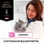 PRO PLAN Veterinary Diets UR Urinary сухой корм для кошек при заболеваниях мочевыводящих путей 4