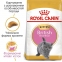 АКЦІЯ Royal Canin British Shorthair Kitten сухий корм для британських короткошерстих кошенят 2 кг + 12 паучів 0