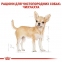АКЦІЯ Royal Canin Chihuahua AD набір корму для собак 1,5 кг + 4 паучі 2