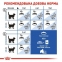 АКЦИЯ Royal Canin INDOOR для кошек в возрасте от 1 года до 7 лет набор корму 2 кг + 4 паучи 6