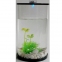 Стакан аквариум овальный с подсветкой 10 х 20 см 2