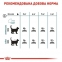 АКЦІЯ Royal Canin HAIRBALL CARE для виведення грудочок вовни набір корму для котів 2 кг + 4 паучі 3