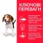 Hills SP Puppy Medium для щенков средних пород с курицей 4