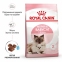 АКЦІЯ Royal Canin Babycat сухий корм для кошенят та вагітних кішок 8+2 кг 0