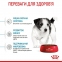 АКЦИЯ Royal Canin Mini Puppy набор корма для щенков 2 кг + 4 паучи 3