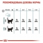 АКЦИЯ Royal Canin Urinary Care профилактика мочекаменной болезни набор корму для кошек 2 кг + 4 паучи 2