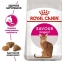 АКЦІЯ Royal Canin Exigent Savour для вибагливих набір корму для котів 2 кг + 4 паучі 0