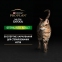 Pro Plan Sterilised Nutrisavour консерва для стерилизованных кошек в соусе с говядиной, 85 г 2