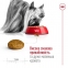 АКЦІЯ Royal Canin X-Small Adult сухий корм для дорослих собак дуже дрібних розмірів 3 кг + миска 2