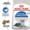 АКЦІЯ Royal Canin Indoor 7+ сухий корм для котів 3,5 кг + наповнювач Catsan 5 л 0