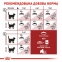 АКЦИЯ Royal Canin FIT 32 корм для домашних и уличных котов 2 кг + 4 паучи 2