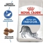 АКЦІЯ Royal Canin INDOOR для кішок у віці від 1 до 7 років набір корму 2 кг + 4 паучі 0