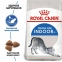 АКЦІЯ Royal Canin Indoor сухий корм для котів 4 кг + наповнювач Catsan 5 л 0