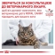 АКЦІЯ Royal Canin Urinary S/O дієта при сечокам'яній хворобі для котів 1,5 кг + 4 паучі 6