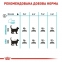 АКЦІЯ Royal Canin Urinary Care сухий корм для котів профілактика сечокам'яної хвороби 8+2 кг 6