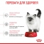 АКЦІЯ Royal Canin Kitten сухий корм для кошенят 2 кг + 12 паучів + схема корму 4