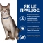 АКЦІЯ 1+1 Hill's PD Feline K/D лікувальний сухий корм для дорослих кішок при захворюваннях нирок 1,5 кг 2