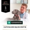 PRO PLAN Veterinary Diets EN Gastrointestinal cухой корм для собак при заболеваниях желудочно-кишечного тракта 4