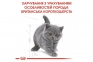 АКЦІЯ Royal Canin British Shorthair Kitten сухий корм для британських короткошерстих кошенят 8+2 кг 5