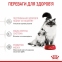 АКЦИЯ Royal Canin Babycat сухой корм для котят и беременных кошек 8+2 кг 3