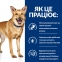 Hill’s PRESCRIPTION DIET i/d Digestive Care з індичкою вологий корм для собак догляд за травленням 360 г 1