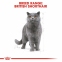 АКЦІЯ Royal Canin British Shorthair Adult Сухий корм для британських короткошерстих котів 8+2 кг 2